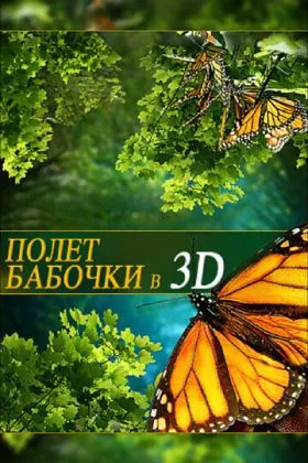 Полет бабочки 3D