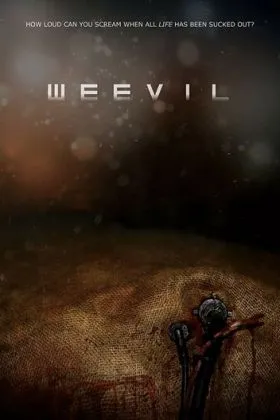 Weevil